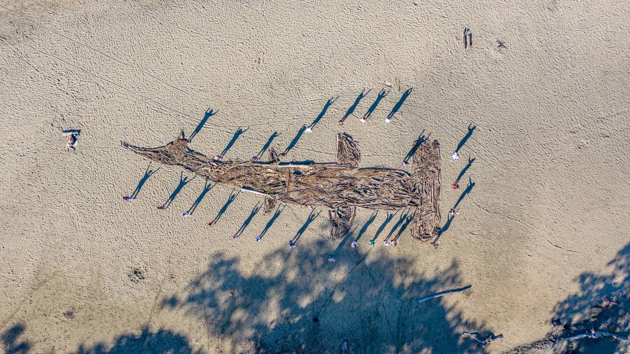 Land Art Tiburón Martillo